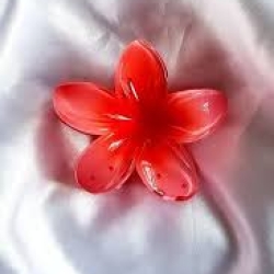 Big Flower Kakra