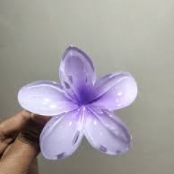Flower Kakra